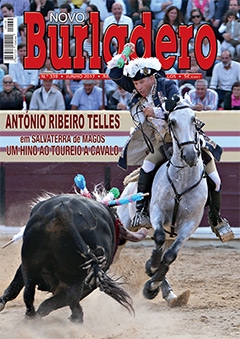 Revista Novo Burladero Nº 339 Junho de 2017