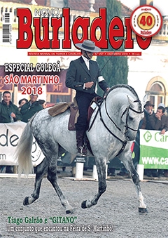 Revista Novo Burladero Nº 357 Dezembro de 2018